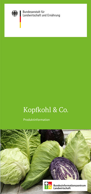 Kopfkohl & Co.