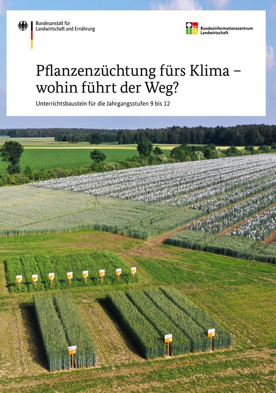 Pflanzenzüchtung fürs Klima - wohin führt der Weg?