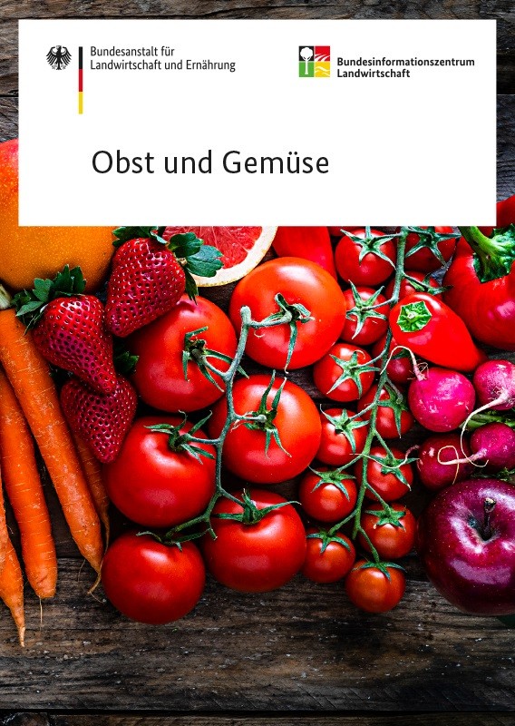 Pocket Obst und Gemüse