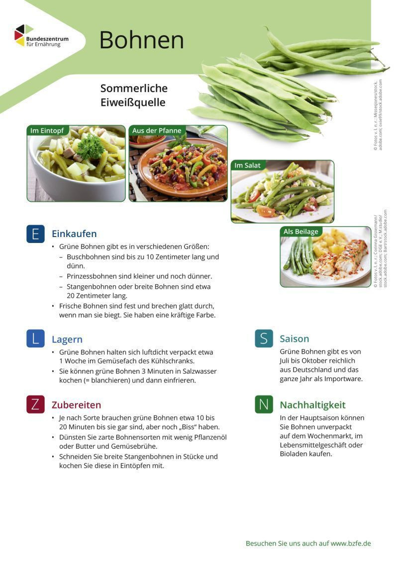 Bohnen - Lebensmittel-Infoblatt
