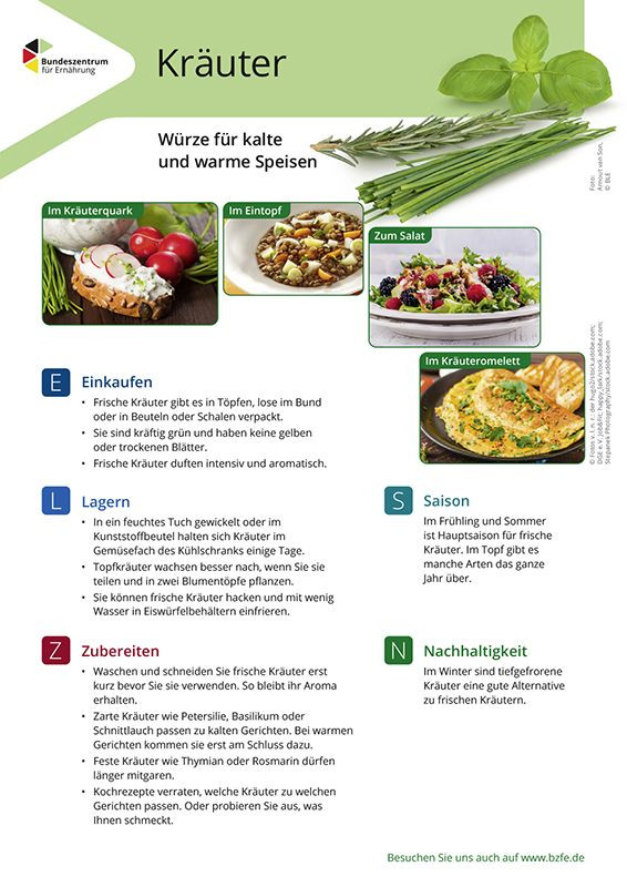 Kräuter - Lebensmittel-Infoblatt