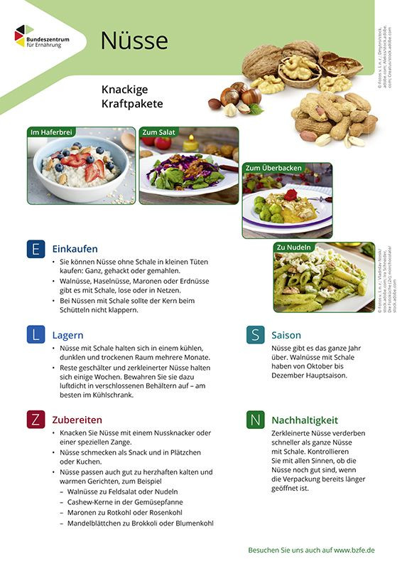 Nüsse - Lebensmittel-Infoblatt