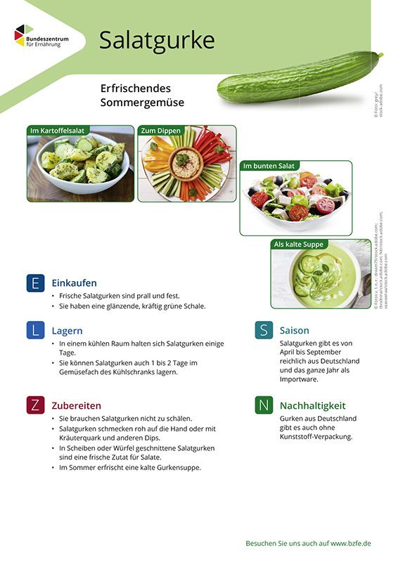 Salatgurke - Lebensmittel-Infoblatt