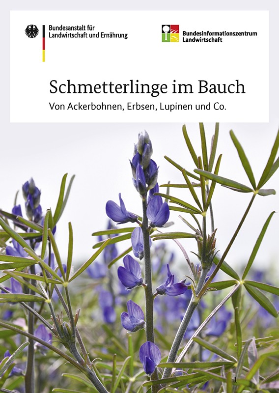 Schmetterlinge im Bauch