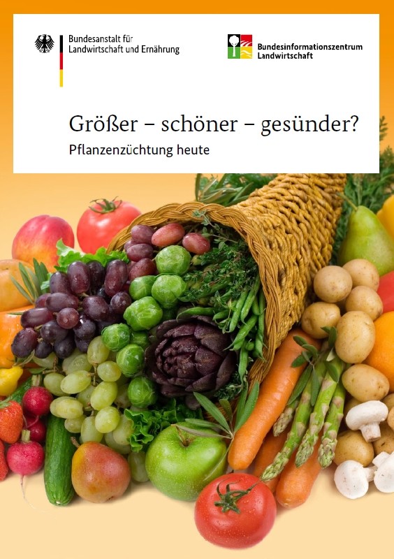 Größer - schöner - gesünder? 