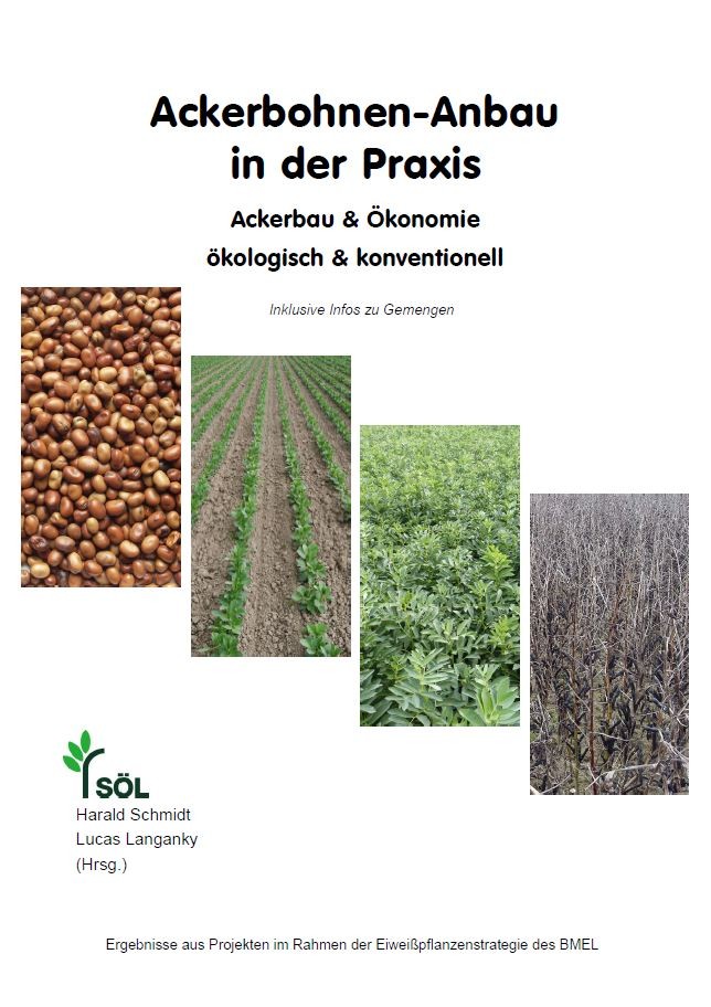 Ackerbohnen-Anbau in der Praxis