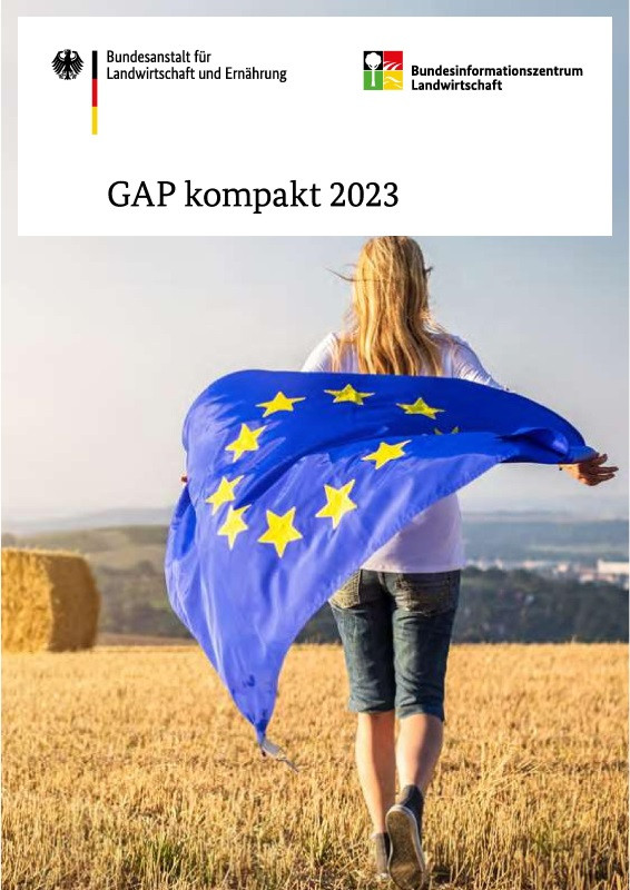 GAP kompakt 2023