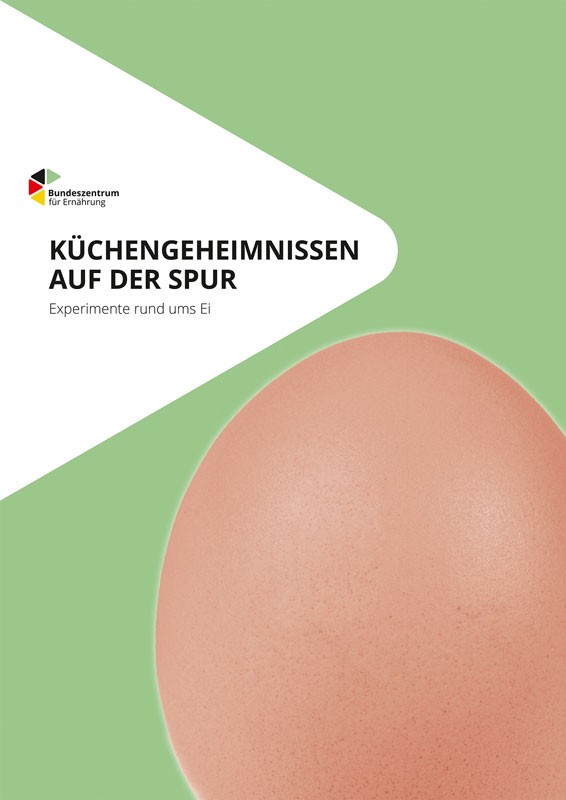 Küchengeheimnissen auf der Spur  Experimente rund um Eier