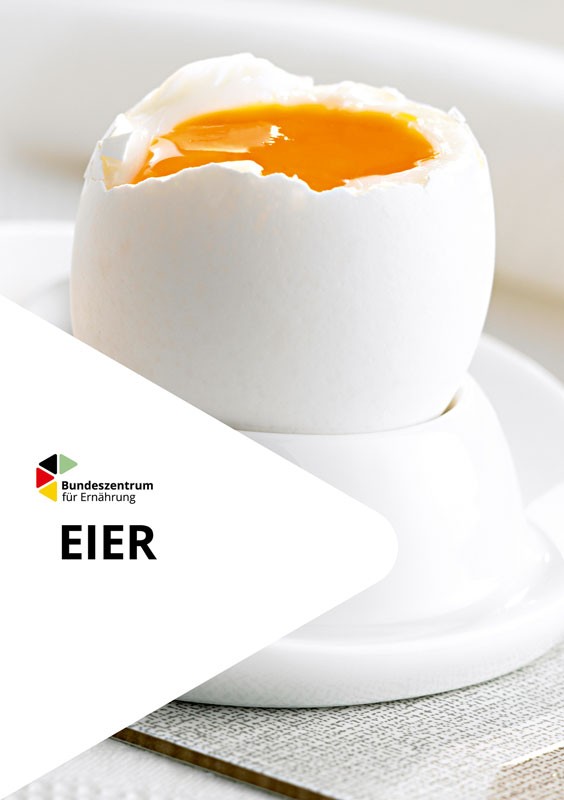 Eier