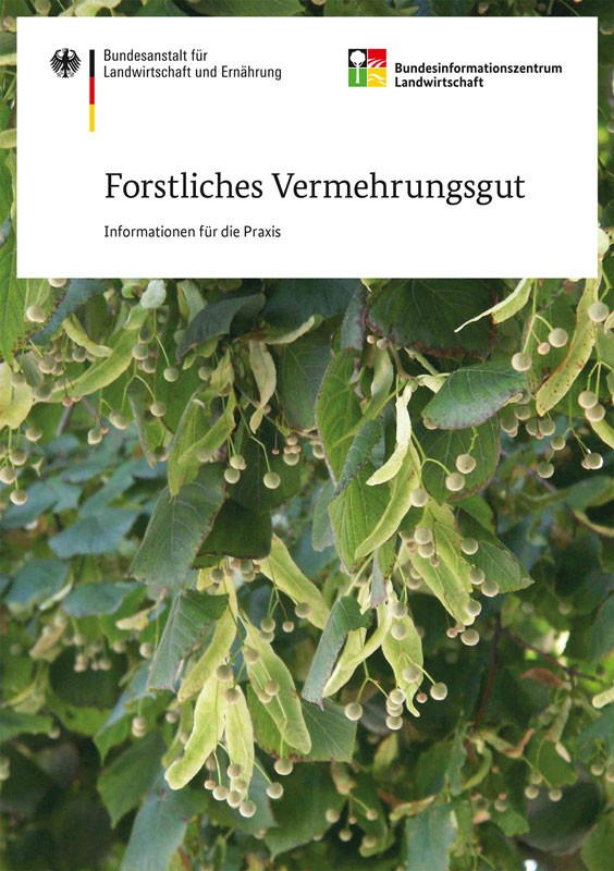 Forstliches Vermehrungsgut - Informationen für die Praxis