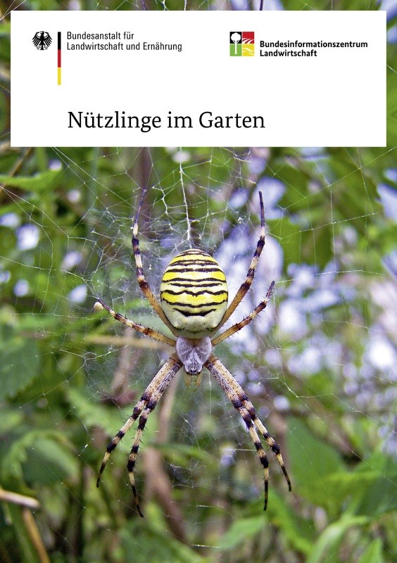 Nützlinge im Garten