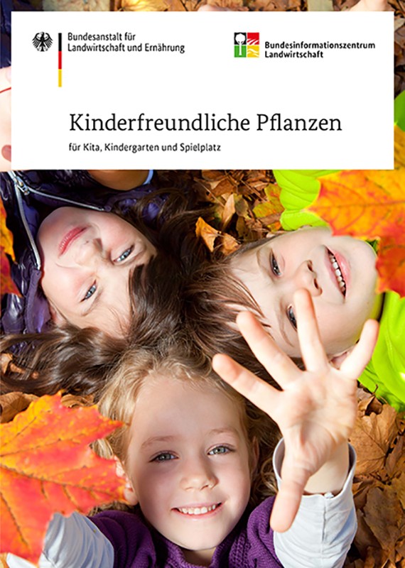 Kinderfreundliche Pflanzen