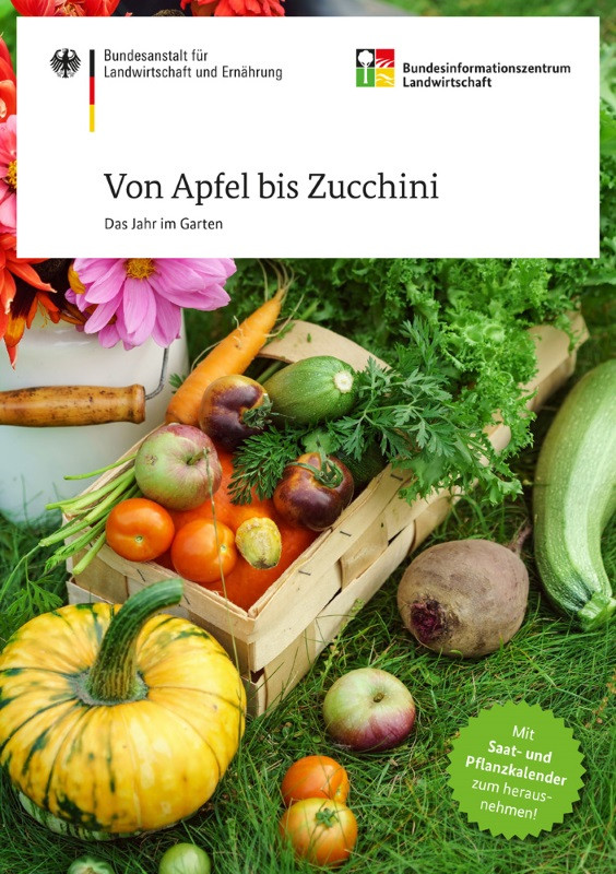 Von Apfel bis Zucchini - Das Jahr im Garten
