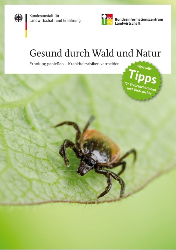 Gesund durch Wald und Natur