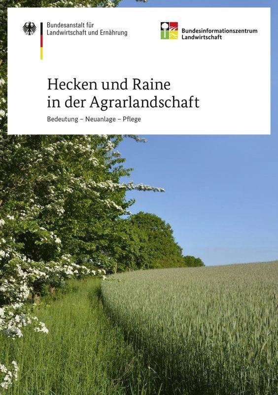 Hecken und Raine in der Agrarlandschaft