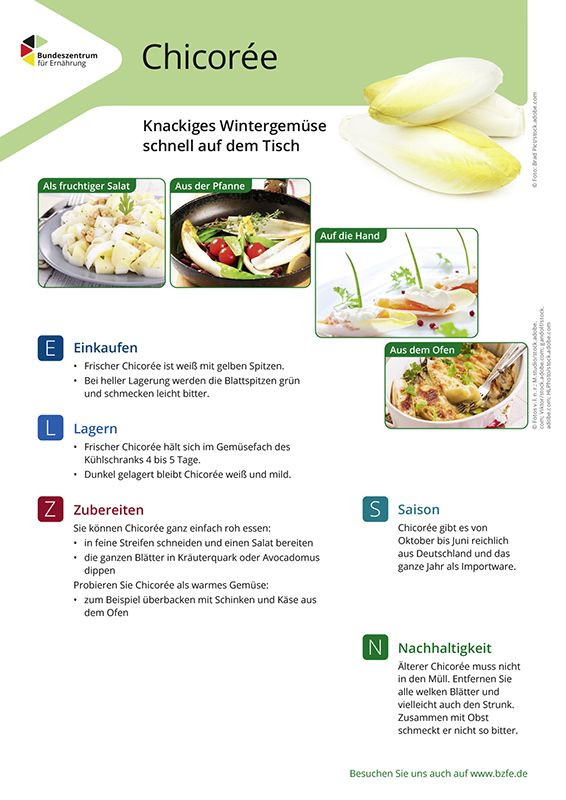 Chicorée - Lebensmittel-Infoblatt