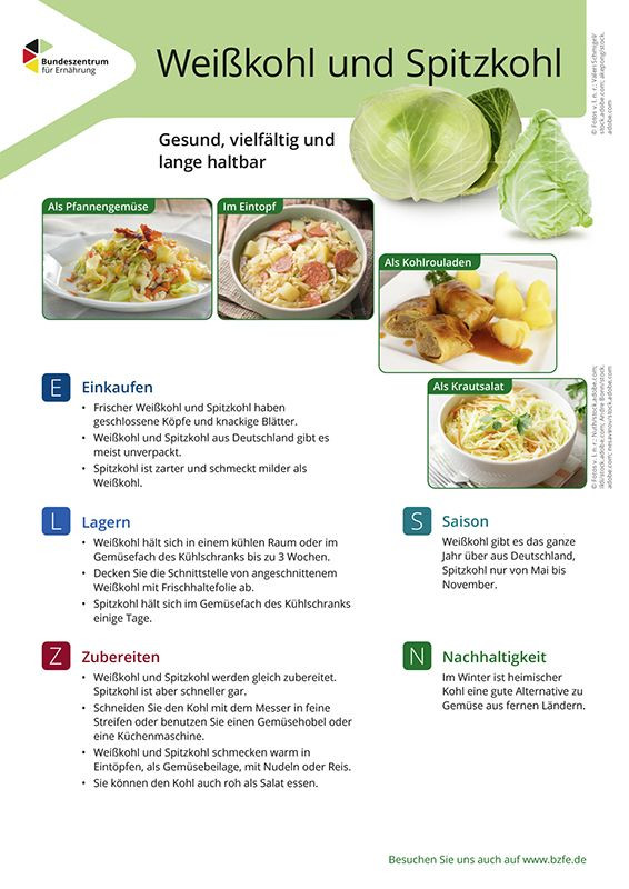 Weißkohl/Spitzkohl - Lebensmittel-Infoblatt