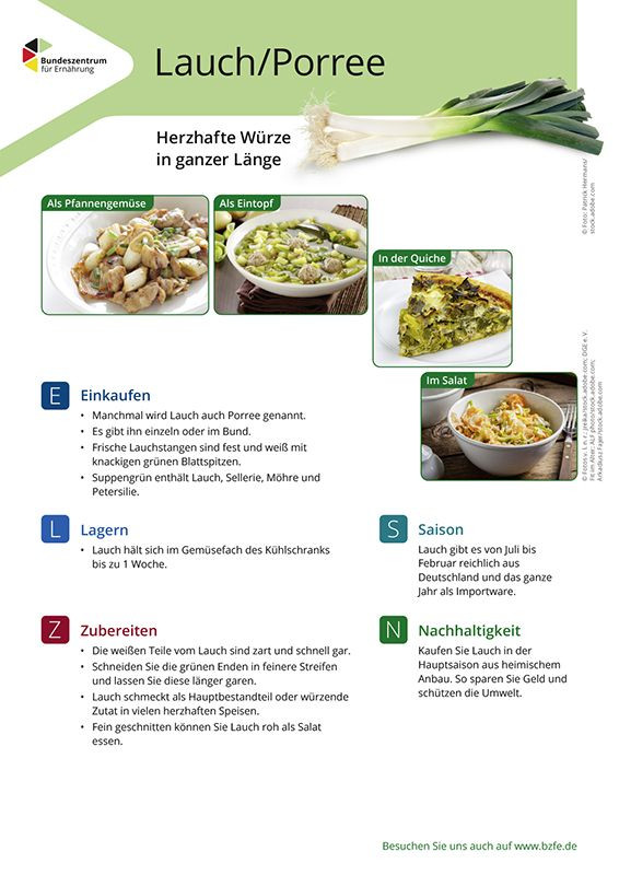 Lauch/Porree - Lebensmittel-Infoblatt