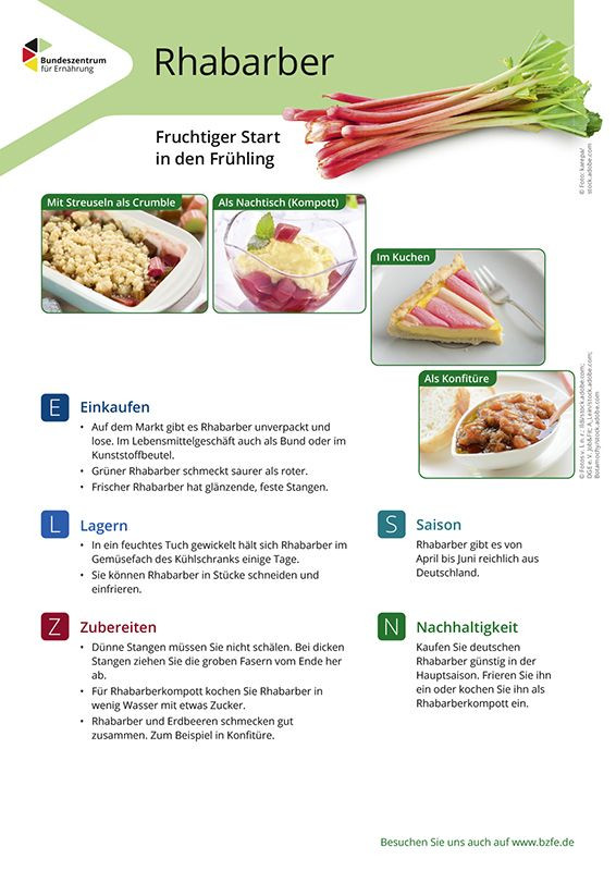 Rhabarber - Lebensmittel-Infoblatt