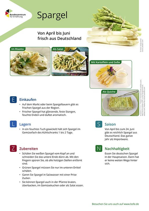 Spargel - Lebensmittel-Infoblatt