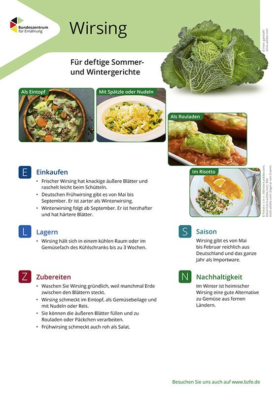 Wirsing - Lebensmittel-Infoblatt