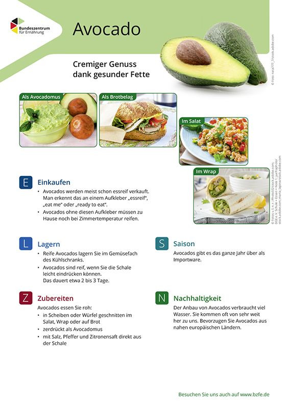 Avocado - Lebensmittel-Infoblatt