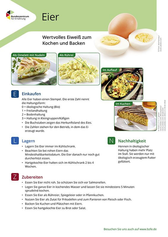Eier Lebensmittel-Infoblatt