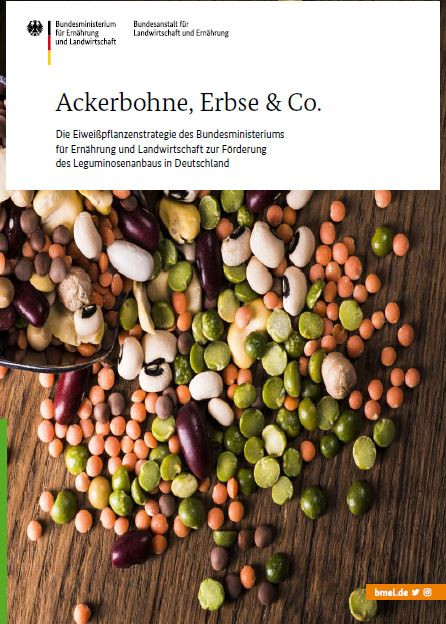 Ackerbohnen, Erbsen & Co.