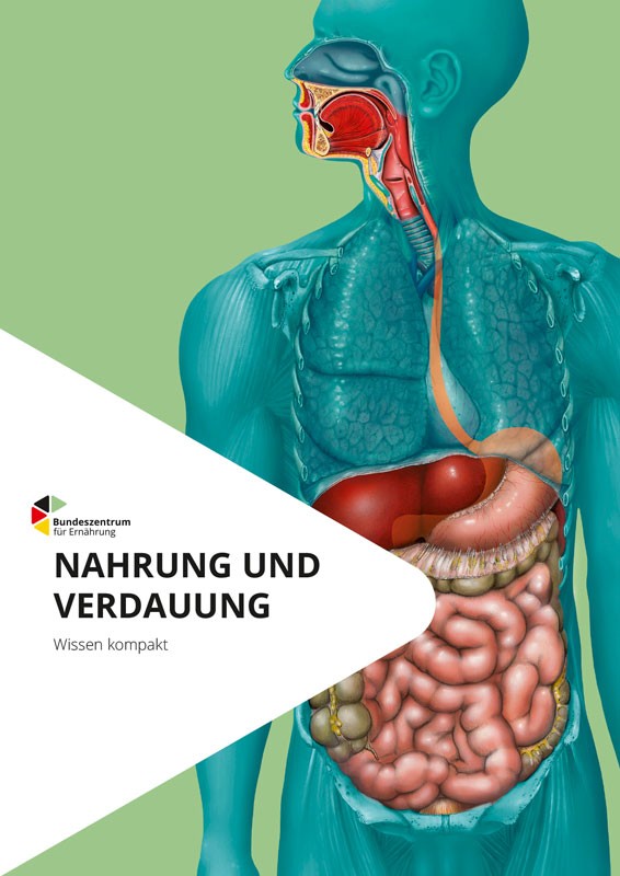 Nahrung und Verdauung - Wissen kompakt