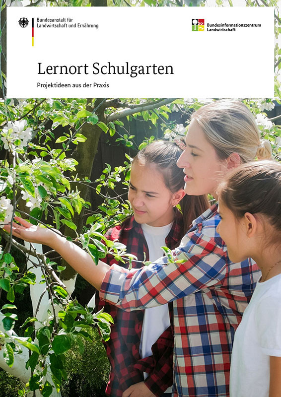 Lernort Schulgarten