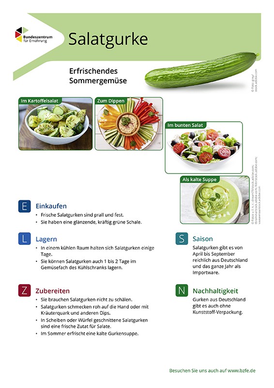 Salatgurke - Lebensmittel-Infoblatt