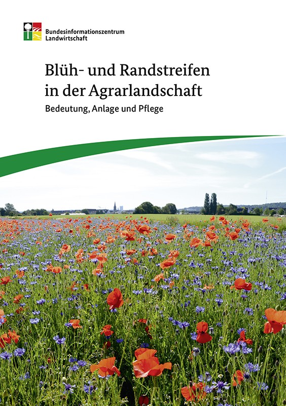 Blüh- und Randstreifen in der Agrarlandschaft