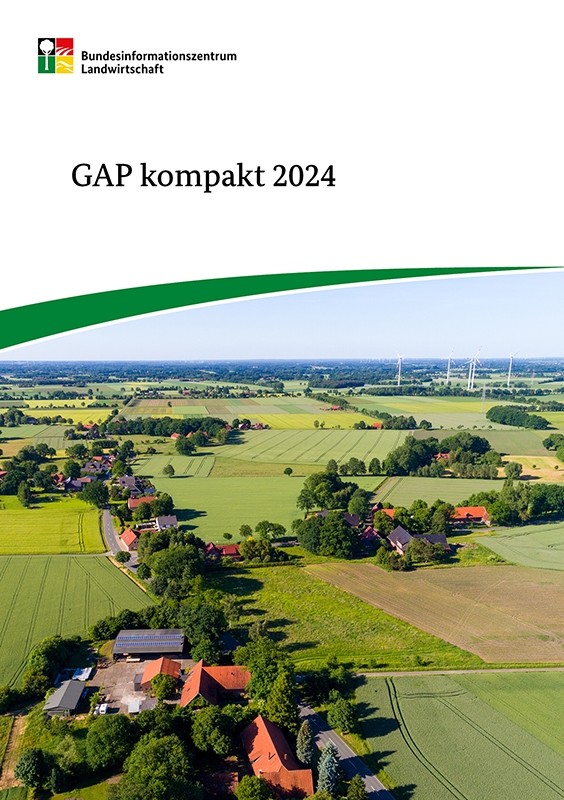 GAP kompakt 2024