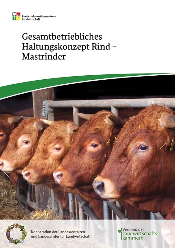 Gesamtbetriebliches Haltungskonzept Rind - Mastrinder