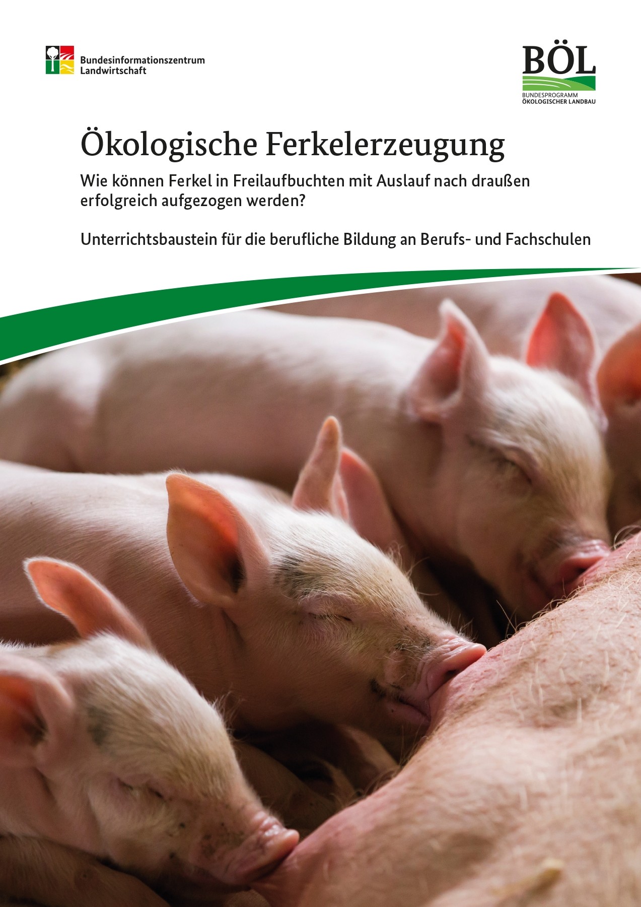 Ökologische Ferkelerzeugung – Wie können Ferkel in Freilaufbuchten mit Auslauf nach draußen erfolgreich aufgezogen werden?