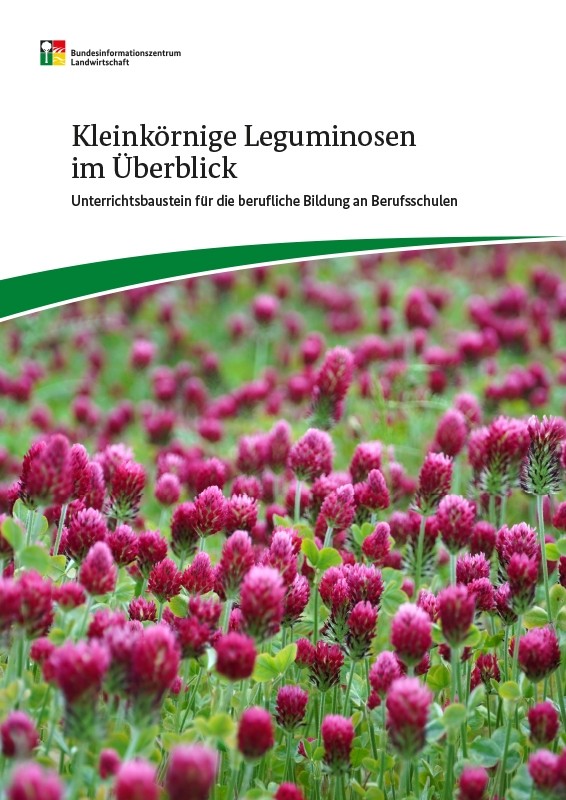 Kleinkörnige Leguminosen im Überblick 