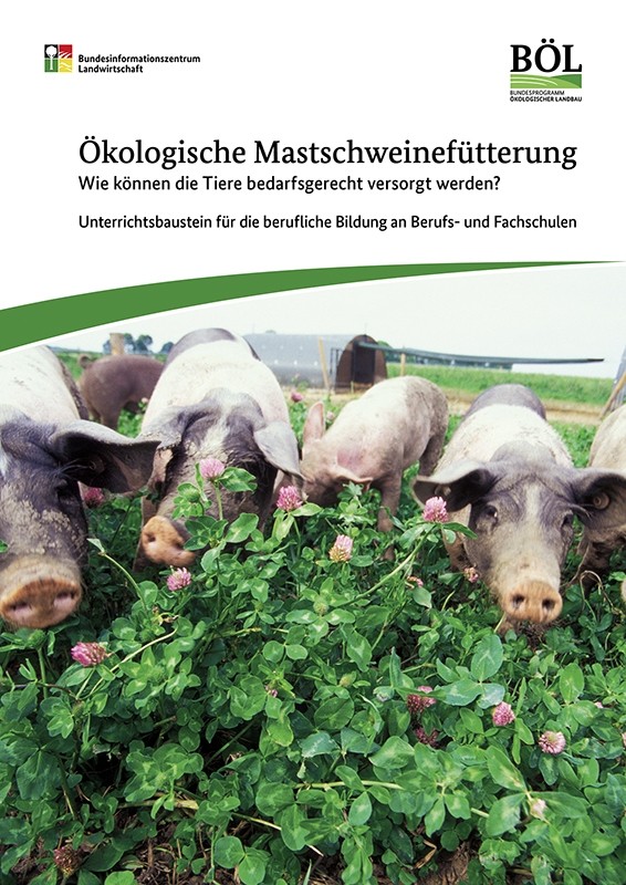 Ökologische Mastschweinefütterung – Wie können die Tiere bedarfsgerecht versorgt werden?
