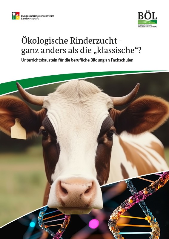 Ökologische Rinderzucht - ganz anders als die „klassische“?