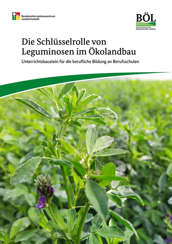 Die Schlüsselrolle von Leguminosen im Ökolandbau 