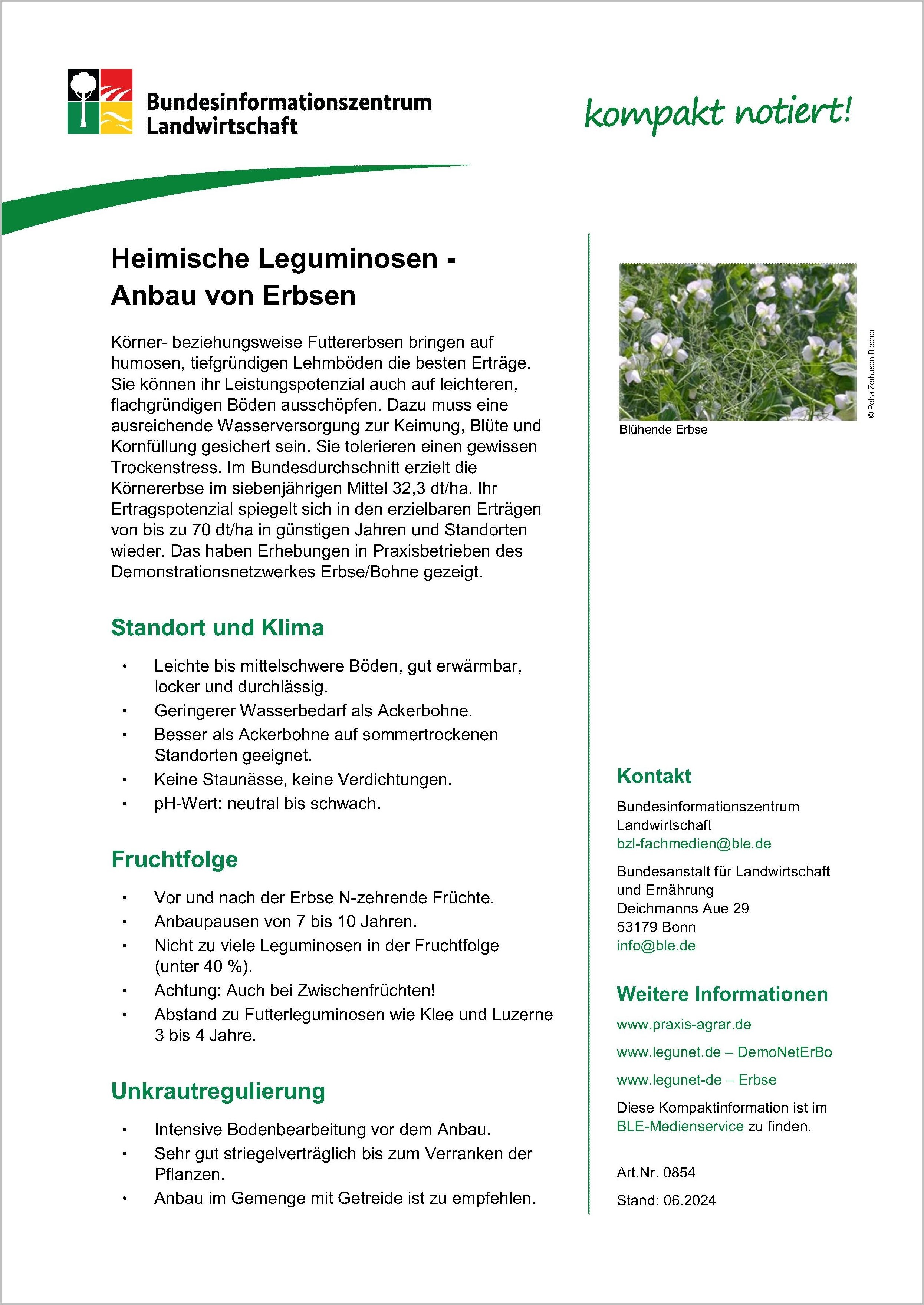 Anbau von Erbsen