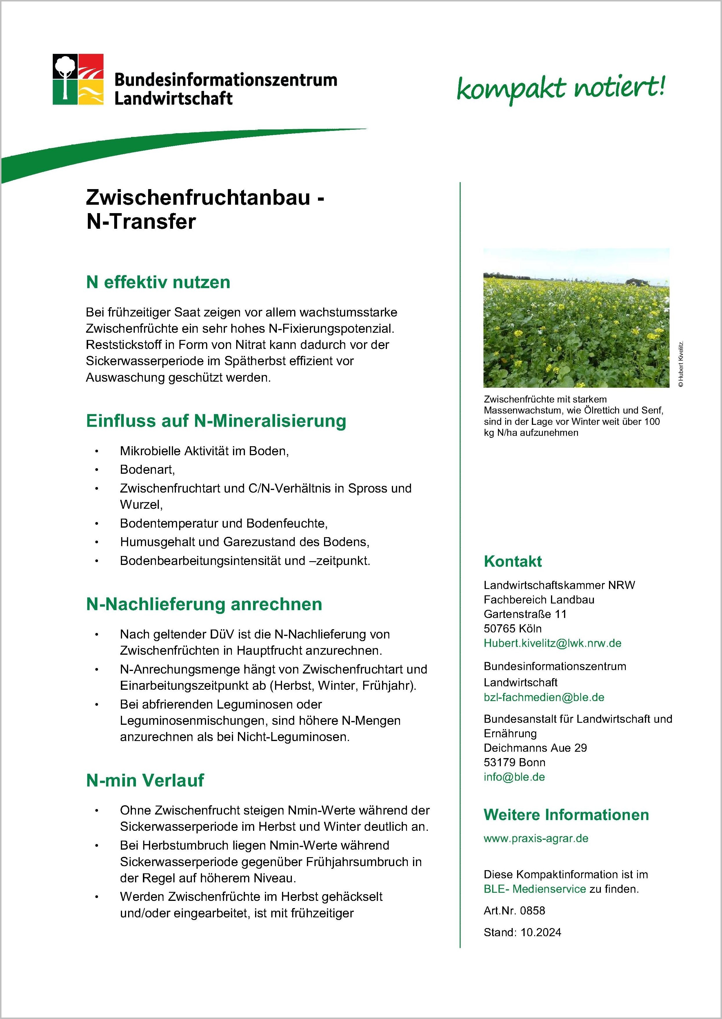 Zwischenfruchtanbau