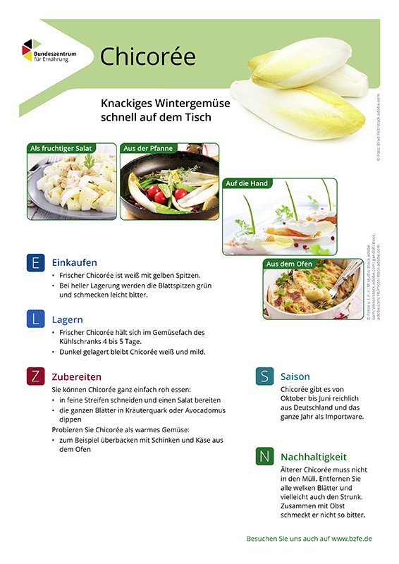 Chicorée - Lebensmittel-Infoblatt