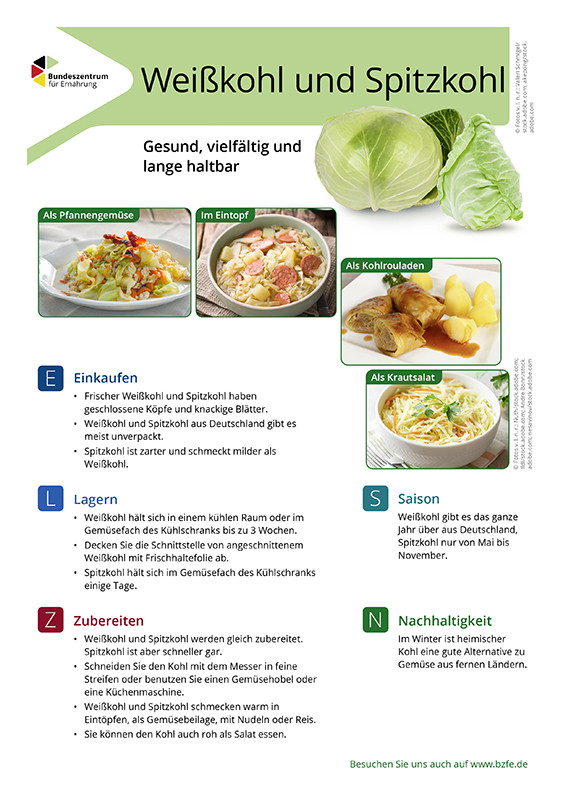 Weißkohl/Spitzkohl - Lebensmittel-Infoblatt
