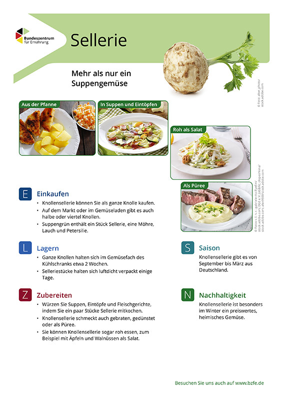 Sellerie - Lebensmittel-Infoblatt