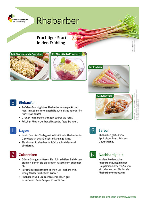 Rhabarber - Lebensmittel-Infoblatt