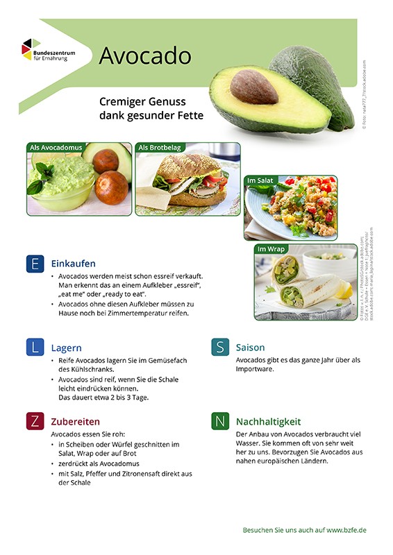 Avocado - Lebensmittel-Infoblatt