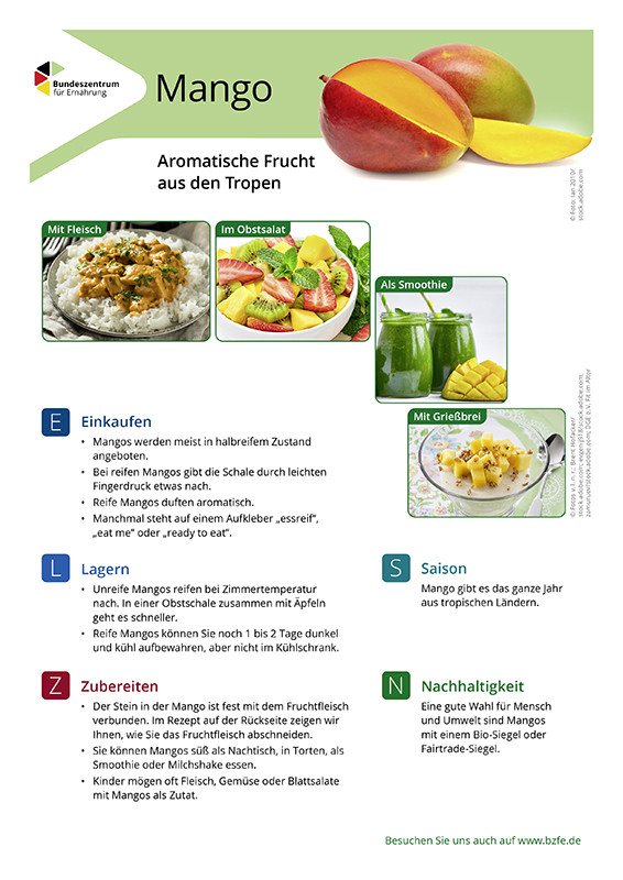 Mango - Lebensmittel-Infoblatt