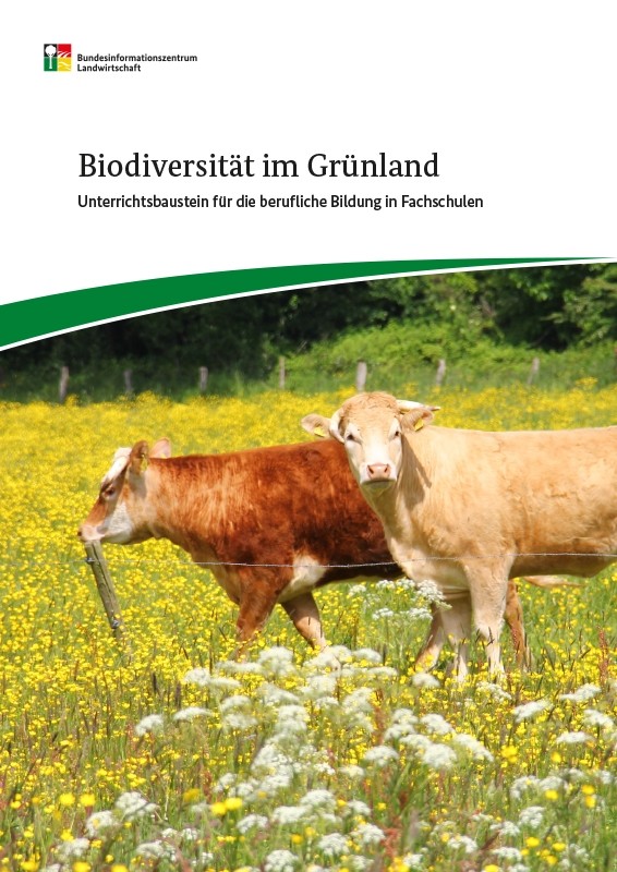 Biodiversität im Grünland