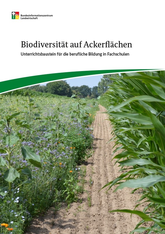 Biodiversität auf Ackerflächen