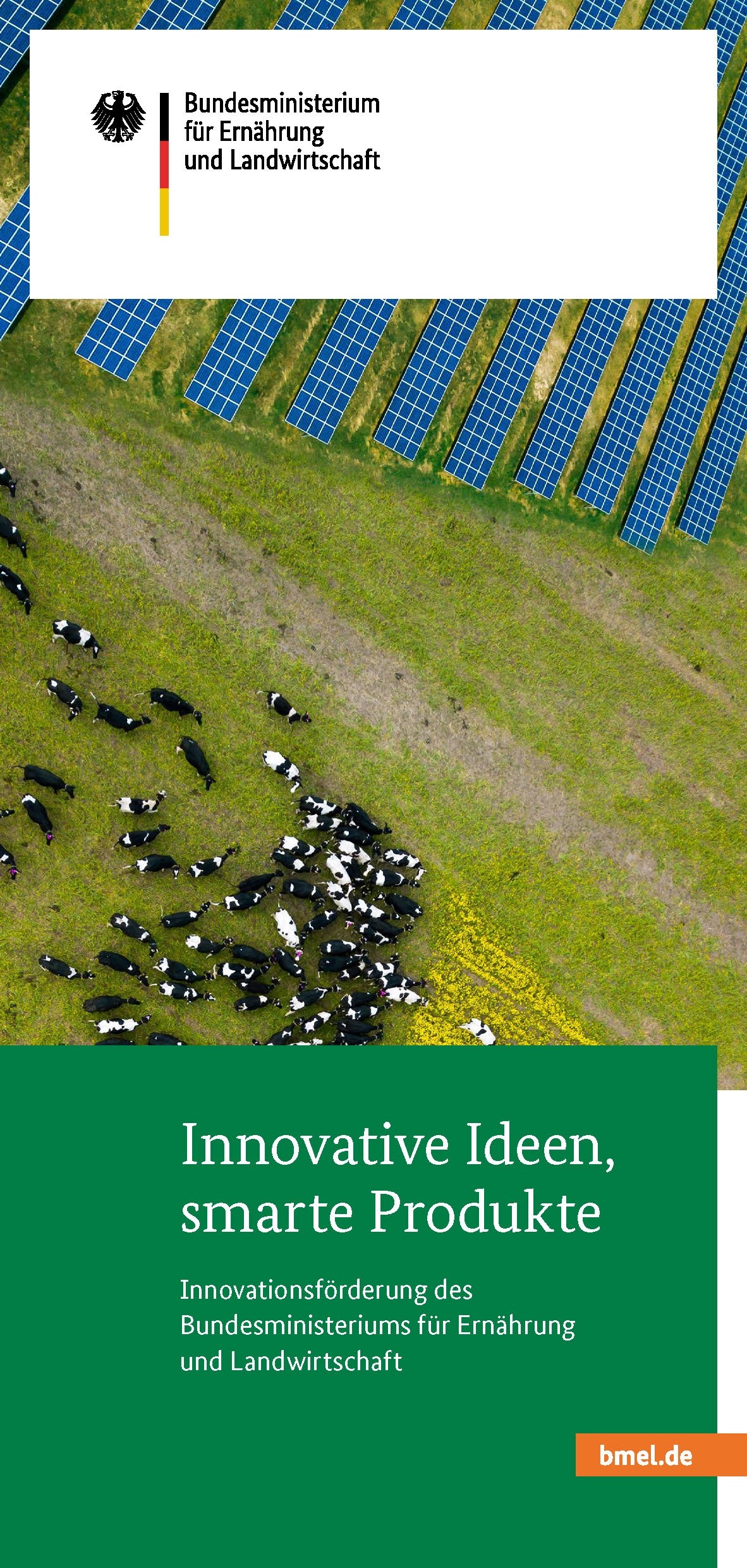 Innovative Ideen, smarte Produkte - Flyer zur Innovationsförderung des BMEL